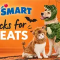 FREE Swag, Treats & More at PetSmart on October 25th.